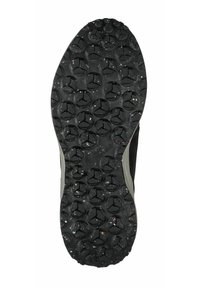 Jack Wolfskin DROMOVENTURE TEXAPORE - Bottes de neige - anthrazit