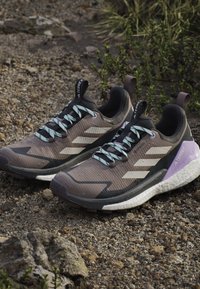 Para brązowych i czarnych butów do biegania w terenie Adidas Terrex z jasnoniebieskimi sznurówkami na skalistym podłożu z małymi roślinami w pobliżu.