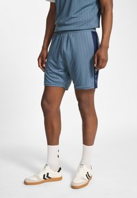 Ljusblå träningsshorts med mörkblå sidodetaljer, vertikala nålrandiga ränder, resårlinning och fuktavvisande tyg; matchas med vita sneakers.