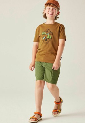Dare 2B, REPRISE III SHORT UNISEX - Pantalones montañeros cortos - nephrite green