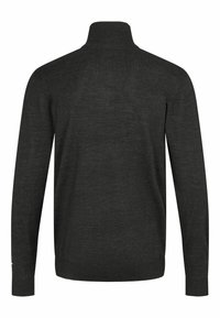 U.S. Polo Assn. MASON - Pulover - grey mélange