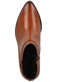 Paul Green Botines bajos - mittelbraun