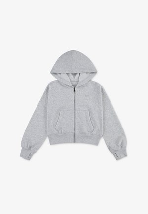 Abercrombie & Fitch ESSENTIAL FULL ZIP HOODIE - Majica s kapuljačom i patentnim zatvaračem - light grey heather