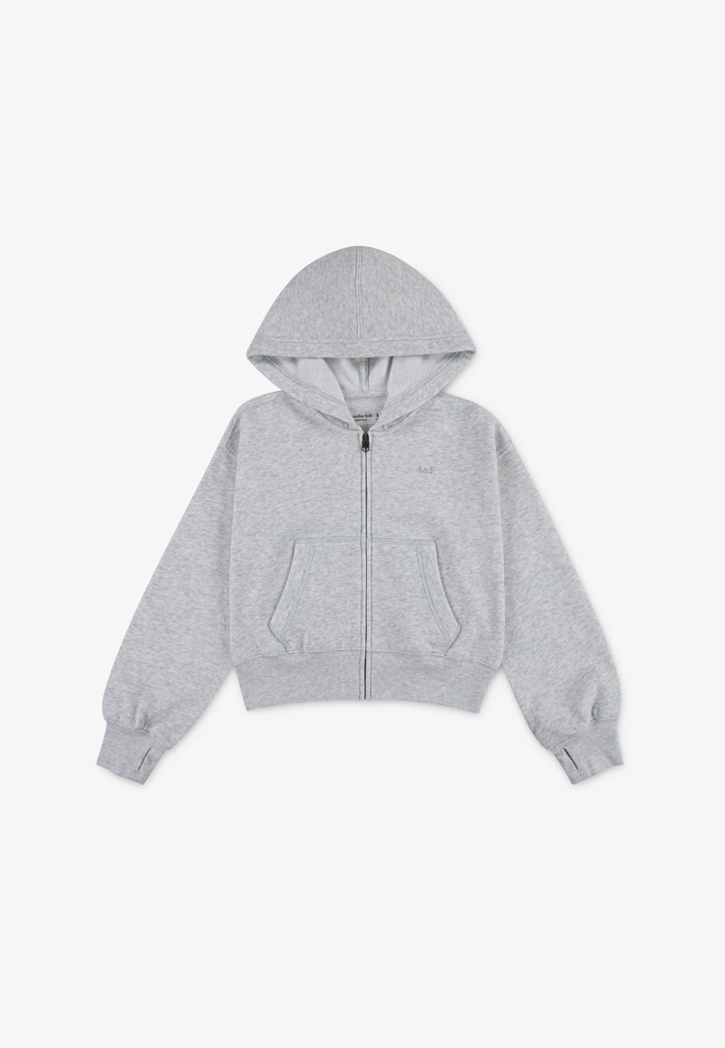 Abercrombie & Fitch ESSENTIAL FULL ZIP HOODIE - Sweater met rits - light grey heather