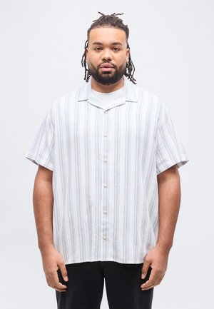 Mand med flettet hår og skæg iført en kortærmet hvid skjorte med blå lodrette striber og sorte bukser, stående foran en ensfarvet baggrund.