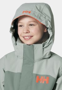 Helly Hansen LEVEL UNISEX - Winterjacke - cactus