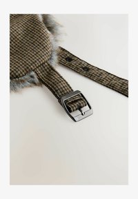 Selected, brown dog tooth check