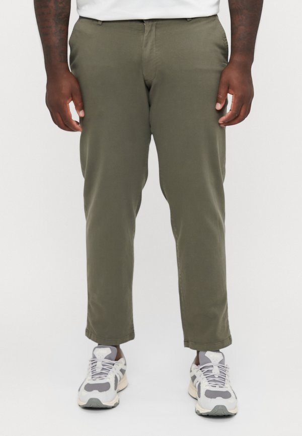 JPSTKANE - Chinos - tea leaf