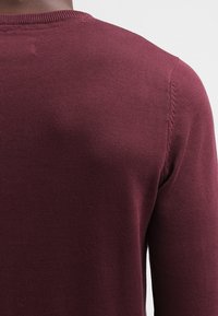 Burgundy knit sweater with a crew neckline. Smooth texture, fitted shape, and subtle ribbed detailing at the neck and hem.