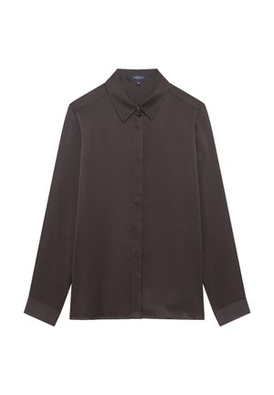 Chemise à manches longues marron foncé avec un col pointu, fermeture à boutons sur le devant et une texture de tissu lisse. Design classique sans motifs supplémentaires.