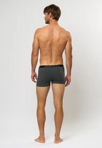 Sive raztegljive tkaninske bokserice s črnim elastičnim pasom, na katerem je jasno prikazano ime blagovne znamke. Zadnji pogled brez dodatnih podrobnosti.