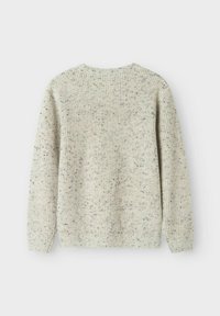 Hellgrauer, strukturierter Strickpullover mit Rundhalsausschnitt, langen Ärmeln und gesprenkelten Details in dunkleren Farbtönen. Rückansicht dargestellt.