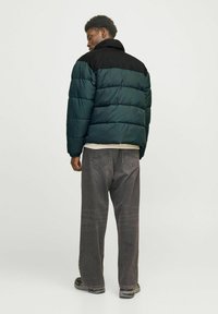 Jack & Jones JJMOON PUFFER - Ziemas jaka - magical forest