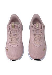 Scarpe da ginnastica rosa chiaro con tomaia in mesh traspirante, dettagli in oro a contrasto e suole bianche. Presentano lacci e una linguetta imbottita.