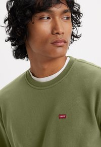 Groene sweatshirt met een klassieke ronde hals en een kleine rode Levi's logo patch op de borst, gemaakt van zachte katoen.