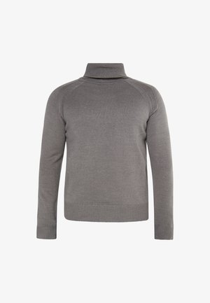 Grauer gestrickter Rollkragenpullover mit langen Ärmeln, gerippten Bündchen und Saum; glatte Textur mit figurbetontem Schnitt.