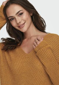JDY JDYNEW MEGAN NOOS - Strickpullover - sudan brown