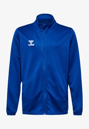 To børn iført matchende blå sportjakker og shorts, står mod en ensartet lys baggrund.