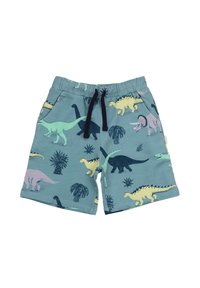Leichtblaue Shorts mit Dinosaurier-Motiv aus leichtem Stoff, die verschiedene mehrfarbige Dinosaurier und Pflanzen zeigen; elastischer Bund mit Kordelzug.