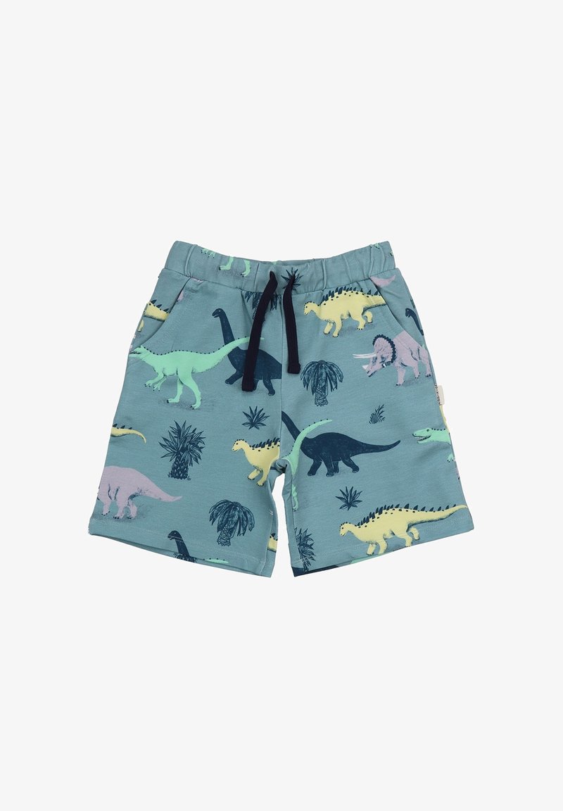 Leichtblaue Shorts mit Dinosaurier-Motiv aus leichtem Stoff, die verschiedene mehrfarbige Dinosaurier und Pflanzen zeigen; elastischer Bund mit Kordelzug.