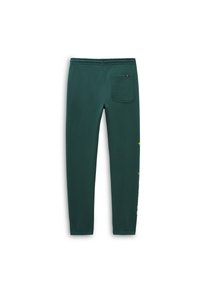 Pantalones de chándal verdes con banda elástica en la cintura, bolsillo lateral y un diseño gráfico a lo largo de la pierna izquierda. Hechos de una tela suave y texturizada.