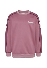 Roze sweatshirt met lange mouwen, geribbelde manchetten en onderrand, voorzien van een wit logo en strepen op de schouders in contrasterende kleuren. Zachte textuur.