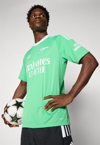 Grünes Fußballtrikot mit weißen Akzenten und Logo. Kurzärmlig, Rundhalsausschnitt, aus glattem Stoff. Spieler hält einen schwarz-weißen Fußball mit Sternenmuster.