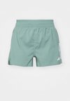 OWN THE RUN - Short de sport - silver green