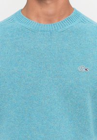 Person, die einen hellblauen gestrickten Pullover mit geripptem Rundhalsausschnitt und einem kleinen Krokodil-Logo auf der linken Brust trägt.