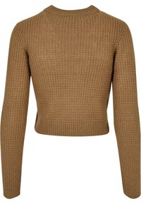 Brown knitted sweater, cropped design, textured fabric, with long sleeves and a round neckline. Features a ribbed hem.
