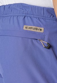 Violetinės šortai su elastinga juosta, pasižymintys užtrauktuku užsegama šone kišenė ir mažas „ICEPEAK“ logotipo aplikacija. Lygus, lengvas audinys.