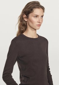 Massimo Dutti MELANGE - Longsleeve - dark brown