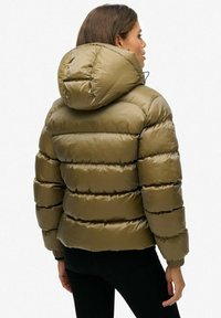 Olijfgroene gewatteerde jas met capuchon, voorzien van een geborduurde stijl, geribde manchetten en een gladde textuur. De achteraanzicht benadrukt de bulk en vorm.