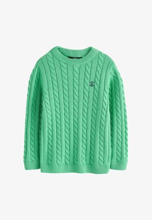 Next, REGULAR FIT - CABLE CREW NECK - Džemper - green