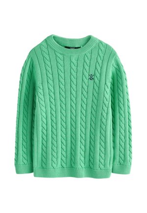 Grüner Strickpullover mit Zopfmuster, Rundhalsausschnitt und gerippten Bündchen und Saum. Kleines Logo auf der Brust gestickt.