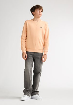 Felpa color pesca chiaro con maniche lunghe, polsini a coste e scollo rotondo. Abbinata a jeans grigi e sneakers bianche. Presenta un piccolo dettaglio con il logo.