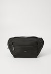 RAY BUMBAG - Sac banane - black