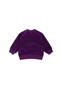 Felpa in velluto viola, con maniche a raglan, polsini a costine e scollo arrotondato con chiusure a pressione laterali. Texture liscia e design casual.