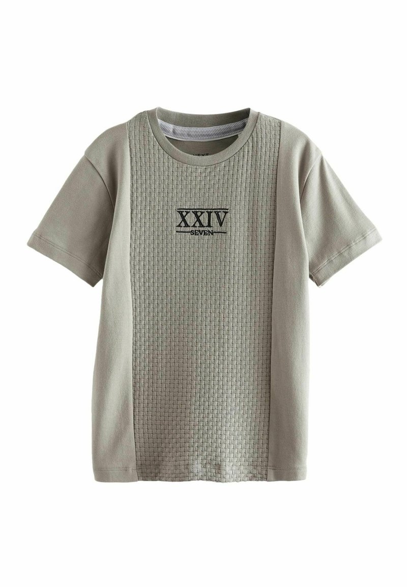 Next EMBROIDERY TEXTURED SHORT SLEEVE - REGULAR FIT - Apdrukāts T-krekls - cement natural