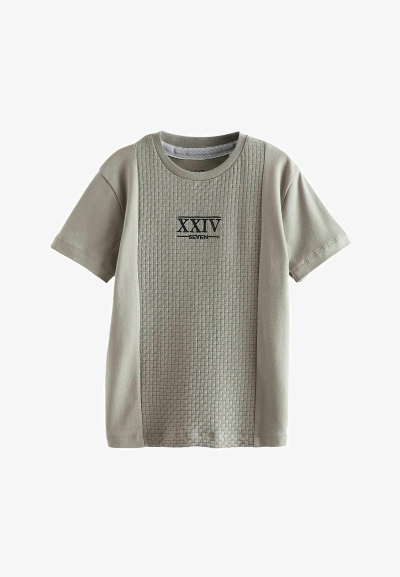 Next EMBROIDERY TEXTURED SHORT SLEEVE - REGULAR FIT - Triko s potiskem - cement natural