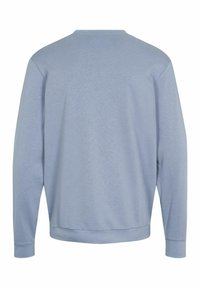 U.S. Polo Assn. Sweatshirt - light blue
