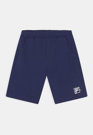 BROWNSVILLE UNISEX - Pantalones deportivos - medieval blue