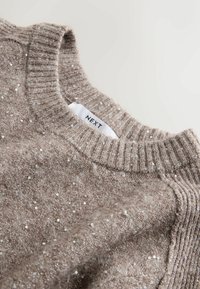 Light brown knitted sweater featuring a rounded neckline and textured fabric with scattered metallic flecks. Label reads "NEXT."