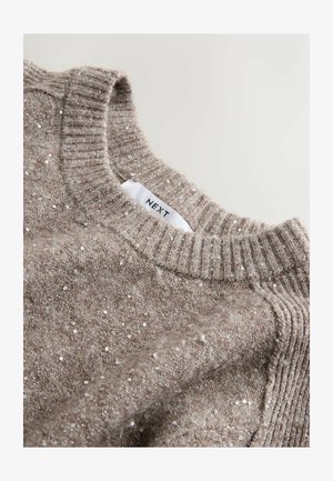 Šviesiai rudas megztinis su apvaliu iškirpimu ir tekstūruotu audiniu, papuoštu švytinčiomis metalinėmis dalelėmis. Etiketėje parašyta "NEXT".