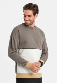 Grå sweatshirt med en cremet og tan vandret stripe, med lange ærmer og ribbet halsudskæring. Blød tekstur og afslappet design.