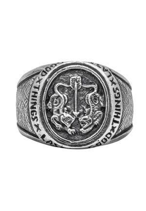 TWIN TIGER - Ring - silberfarben