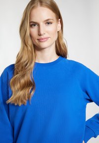 Blauwe sweatshirt met een ronde hals en raglanmouwen, gemaakt van zacht materiaal. Kenmerkt zich door een gladde textuur en een ontspannen pasvorm.