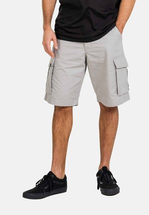 NEW CARGO - Shorts - flint grey