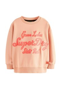 Roza pulover iz mehkega materiala z okroglo ovratnikom, dolgimi rokavi in vezenim besedilom: "Zeleni jezeri SuperDry državni park."