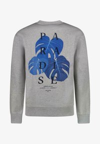 Cars Jeans DISO - Sweater - grey melee